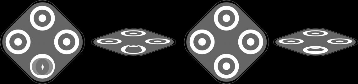 Stereopsis Tests