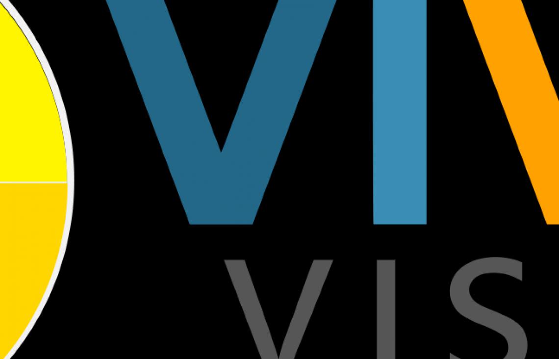 The official Vivid Vision logo.