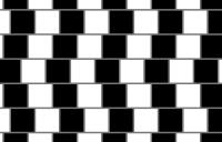 Cafe wall illusion - cafe wall illusion geometricaloptical high resolution