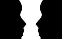 Figureground Organization - figure ground organization gestalt psychology illusion