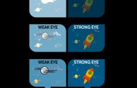 How Vivid Vision Works - vivid vision infographic dichoptic