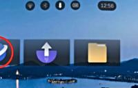 Pico Browser -  