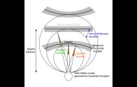 horopter - viethmuller horopter vision brain high resolution