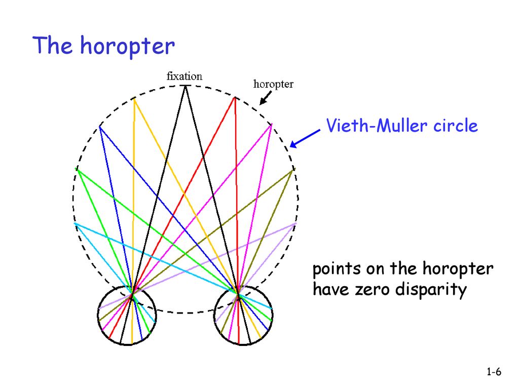 Horopter